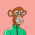 WopDude