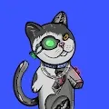 Cyber Cat Club