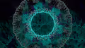 Fractured Polyverse