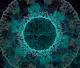 Fractured Polyverse