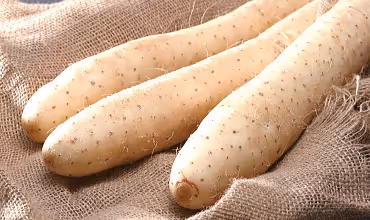 longlonglonglonglonglonglonglonglonglonglonglonglonglonglonglonglonglonglonglonglonglonglo