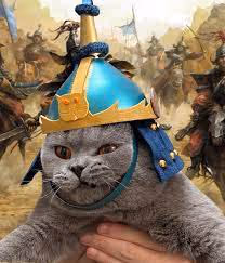 Knight Cat