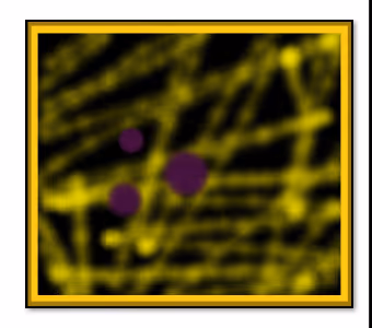 Framed without frame