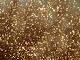 Glitter World