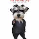 dog - AemNSQKPdG