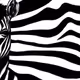 Zebra Military