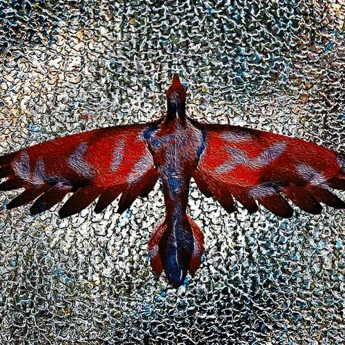 Birds of a Feather Season 1 and 2