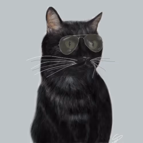 PokerCat