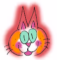 Puchi the cat