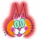 Puchi the cat