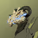 WhelpsNFT: Profile Pics