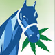 High Horse