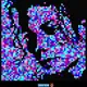 Random PixelArt