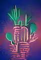 Cacti NFTs
