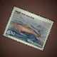 India Stamp Collection