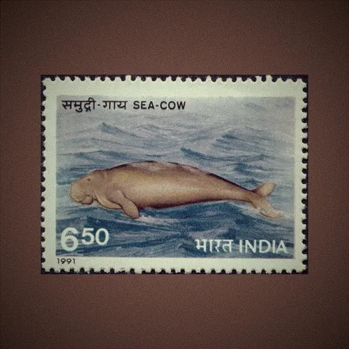 India Stamp Collection