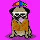 Ashy the Pug