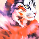 cool cat gallery