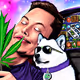Elon Musk and Shiba Inu Memes Collection