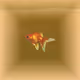 Pet Goldfish