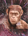 monkey META