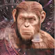 monkey META