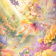 Colorful Flower Fairy
