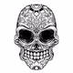 Crazy Skull V41