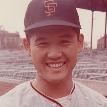 MASHI NFT Collection