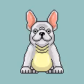 PolyFrenchies