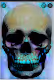 Skullz Artwork