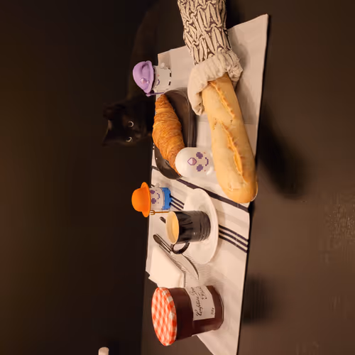 Aavegotchi IRL Pictures