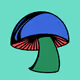 shroomscollection
