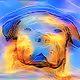 Java PUP v2