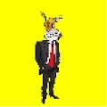 Crypto Burros