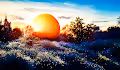 AI Landscapes by Ric Rieb