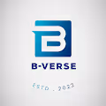 B Verse - Metaverse for Business Professionals