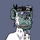 Medi Apes M.C.