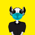 Bastetcatskull