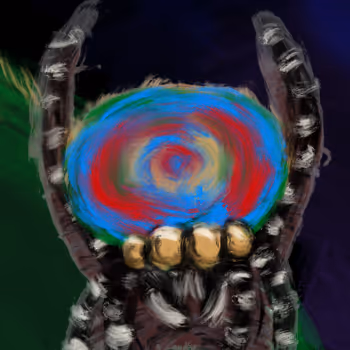 Maratus volans by 🅡🅤🅓🅘 x Reddit Collectible Avatars