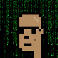 The Matrix Crypto Punk Collection