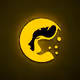 Cheetah Race