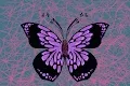 JoyFlies