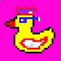 young bored duck