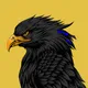 Eagle Vision