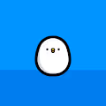 Chick Egg Ocean