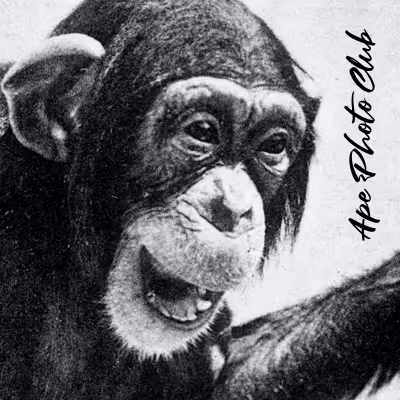 Photo Ape Yacht Club (PAYC)