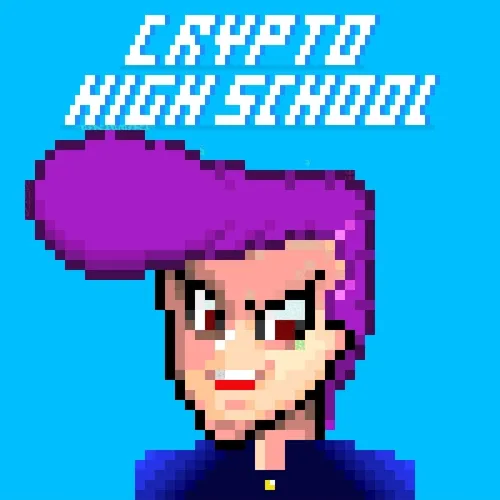CRYPTO HIGH SCHOOL