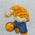 pRIZE Fighter Financial