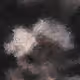 Digital art and mixed media